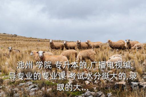  池州 學院 專升本的,廣播電視編導專業(yè)的專業(yè)課 考試水分挺大的,錄取的大...