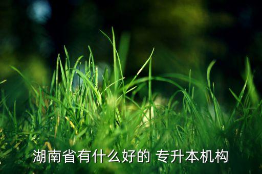 湖南省有什么好的 專升本機構
