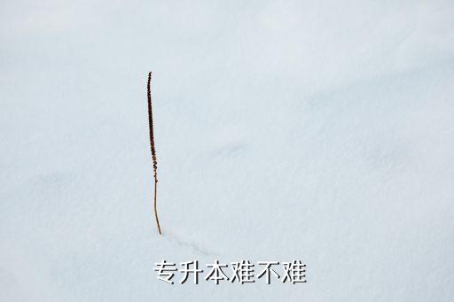 西藏專升本考試難嗎,2022年西藏專升本考試時間