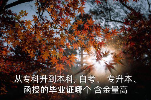 從?？粕奖究? 自考、 專升本、函授的畢業(yè)證哪個 含金量高