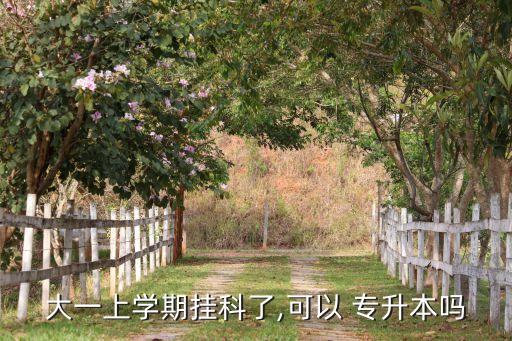 大一上學期掛科了,可以 專升本嗎