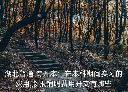湖北普通 專升本生在本科期間實習(xí)的費用能 報銷嗎費用開支有哪些