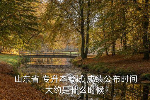  山東省 專(zhuān)升本考試 成績(jī)公布時(shí)間大約是什么時(shí)候