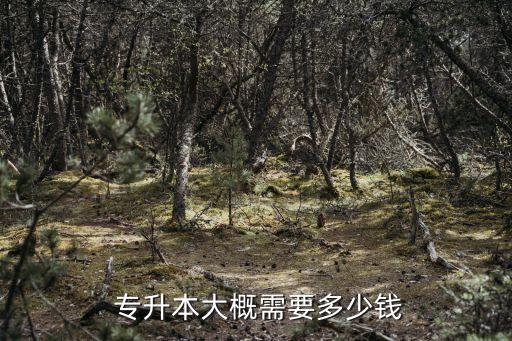 深職專(zhuān)升本學(xué)費(fèi),深職能不能專(zhuān)升本