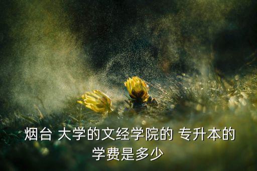  煙臺(tái) 大學(xué)的文經(jīng)學(xué)院的 專升本的學(xué)費(fèi)是多少