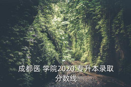  成都醫(yī) 學(xué)院2020 專升本錄取 分數(shù)線