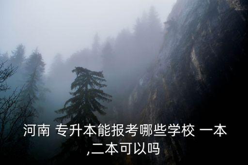  河南 專升本能報(bào)考哪些學(xué)校 一本,二本可以嗎
