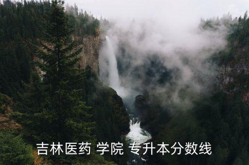 2017年吉林省專升本學(xué)院,吉林省專升本2017年公共英語(yǔ)真題答案