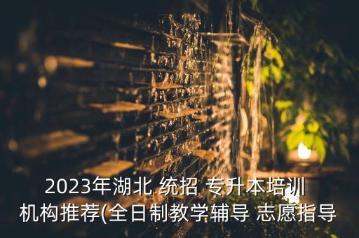 2023年湖北 統(tǒng)招 專升本培訓(xùn) 機構(gòu)推薦(全日制教學(xué)輔導(dǎo) 志愿指導(dǎo)