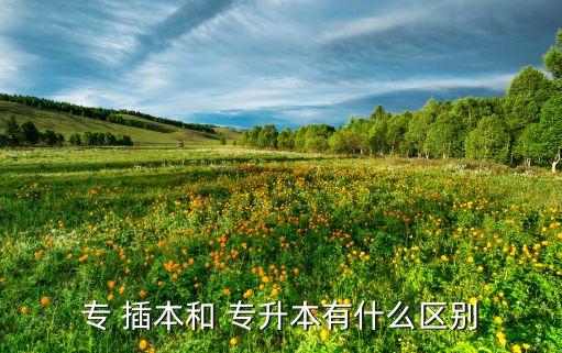 專(zhuān) 插本和 專(zhuān)升本有什么區(qū)別