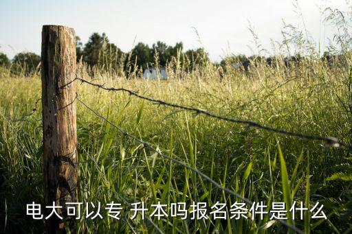 電大可以專 升本嗎報名條件是什么