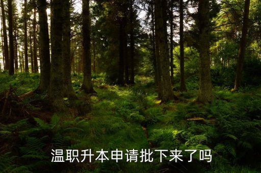  溫職升本申請(qǐng)批下來(lái)了嗎