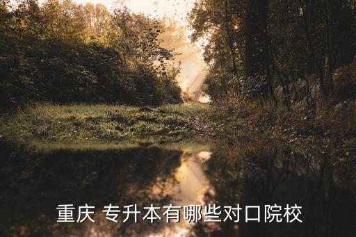  重慶 專升本有哪些對口院校