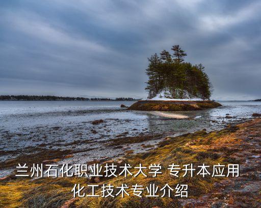 蘭州石化職業(yè)技術(shù)大學(xué) 專升本應(yīng)用 化工技術(shù)專業(yè)介紹