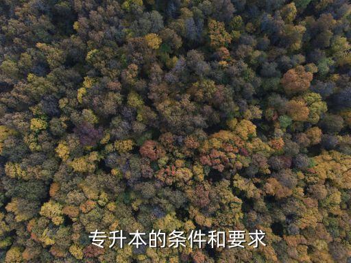 專(zhuān)升本計(jì)算機(jī)專(zhuān)業(yè)對(duì)口
