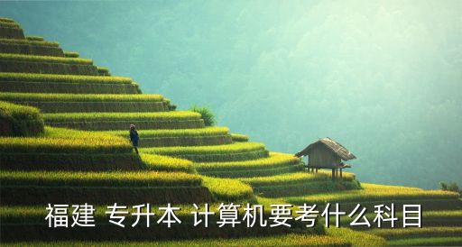  福建 專升本 計算機(jī)要考什么科目