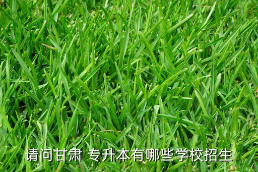 天水師范專升本輔導(dǎo)班