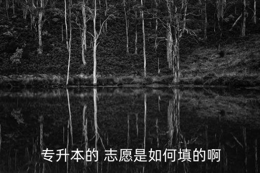  專(zhuān)升本的 志愿是如何填的啊