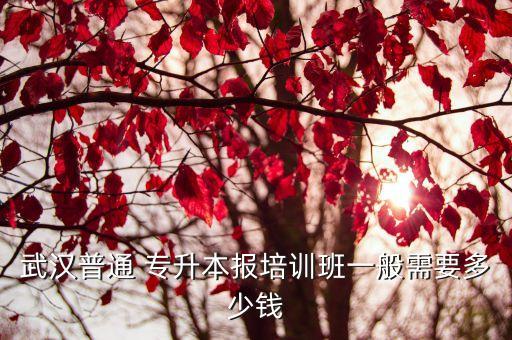 武漢普通 專升本報(bào)培訓(xùn)班一般需要多少錢