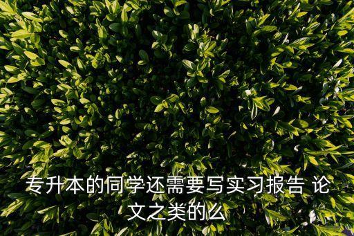  專升本的同學(xué)還需要寫實(shí)習(xí)報告 論文之類的么