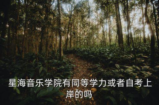  星海音樂學院有同等學力或者自考上岸的嗎