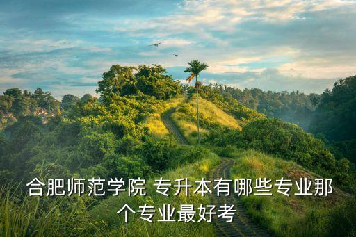  合肥師范學(xué)院 專升本有哪些專業(yè)那個(gè)專業(yè)最好考