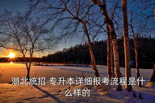 湖北統(tǒng)招 專升本詳細(xì)報考流程是什么樣的