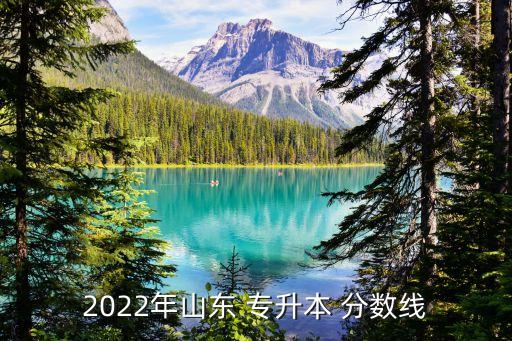 2022年山東 專升本 分數(shù)線