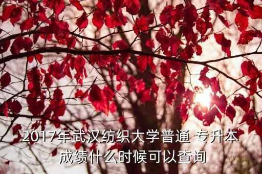 2017年武漢紡織大學(xué)普通 專升本 成績(jī)什么時(shí)候可以查詢