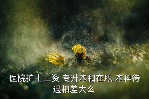 醫(yī)院護(hù)士工資 專升本和在職 本科待遇相差大么