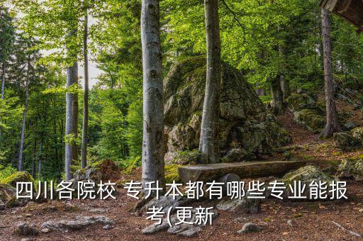 四川各院校 專升本都有哪些專業(yè)能報考(更新