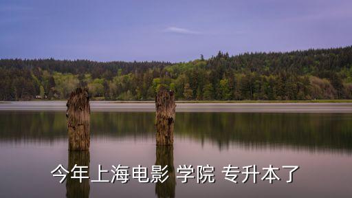 今年上海電影 學(xué)院 專升本了