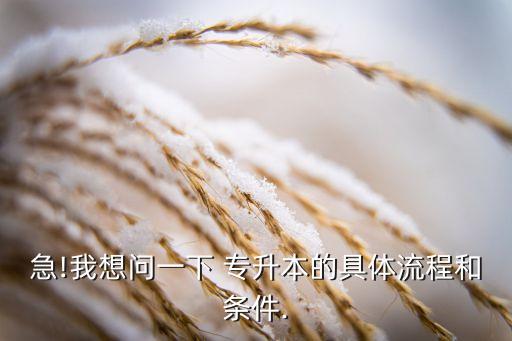 急!我想問一下 專升本的具體流程和條件.