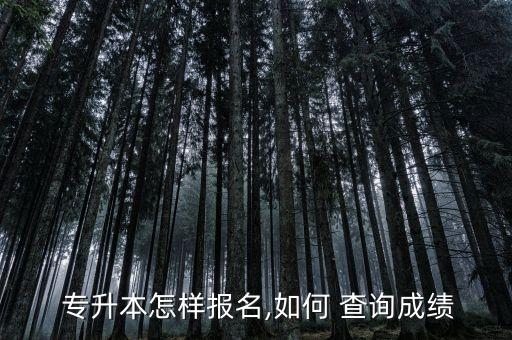 專升本自考準(zhǔn)考證查詢,自考專升本準(zhǔn)考證號碼忘記了怎么辦
