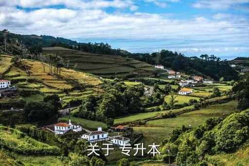 2018新余學院專升本名額,新余學院專升本考試科目