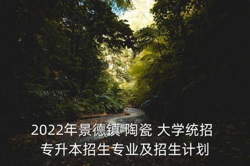 2022年景德鎮(zhèn) 陶瓷 大學(xué)統(tǒng)招 專升本招生專業(yè)及招生計(jì)劃