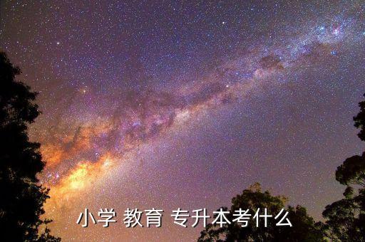  小學 教育 專升本考什么