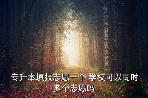 2014安徽專升本同時報考兩個學(xué)校嗎