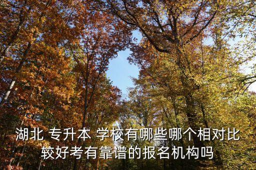 湖北 專升本 學(xué)校有哪些哪個相對比較好考有靠譜的報名機(jī)構(gòu)嗎