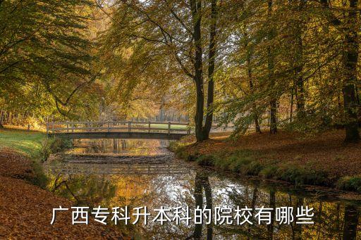  廣西專科升本科的院校有哪些