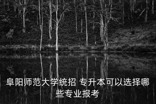 安徽專升本 美術(shù)