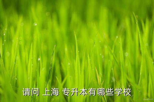 請(qǐng)問 上海 專升本有哪些學(xué)校