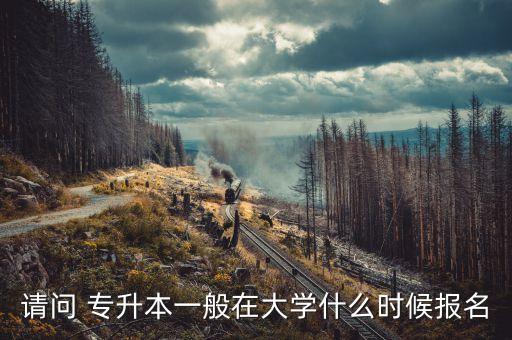 請問 專升本一般在大學(xué)什么時候報名