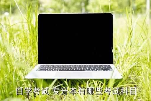 自學考試 專升本有哪些考試科目