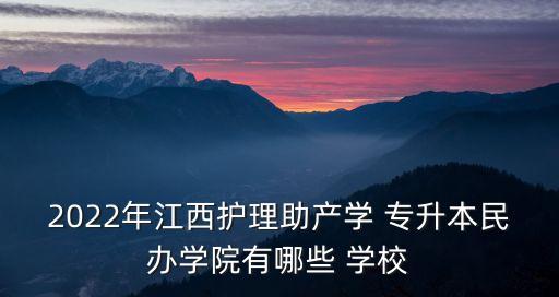 2022年江西護理助產(chǎn)學(xué) 專升本民辦學(xué)院有哪些 學(xué)校
