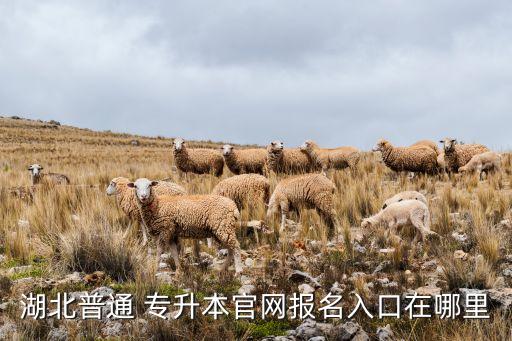 湖北普通 專升本官網(wǎng)報名入口在哪里