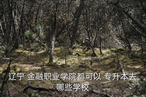 2018專升本金融,專升本2018數(shù)學(xué)真題