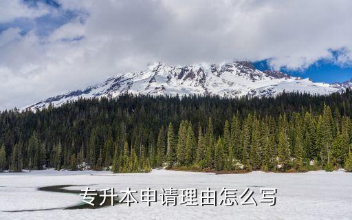  專升本申請理由怎么寫