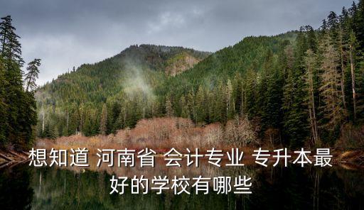 想知道 河南省 會計專業(yè) 專升本最好的學校有哪些