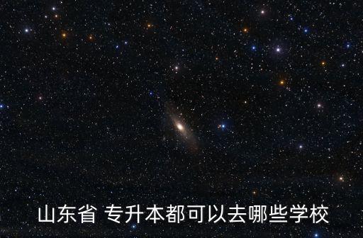  山東省 專升本都可以去哪些學校